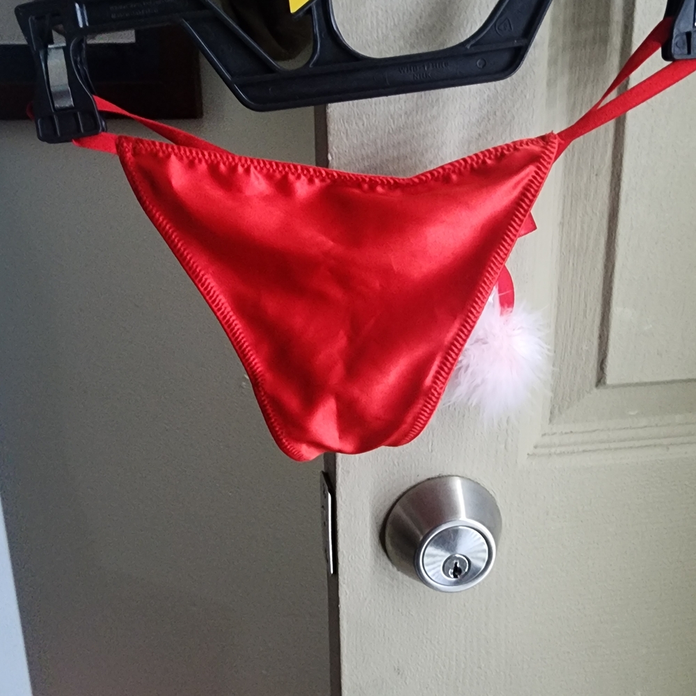 Victoria's Secret Red Lace Panties Intimates